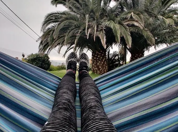 Auberge de jeunesse Novovento