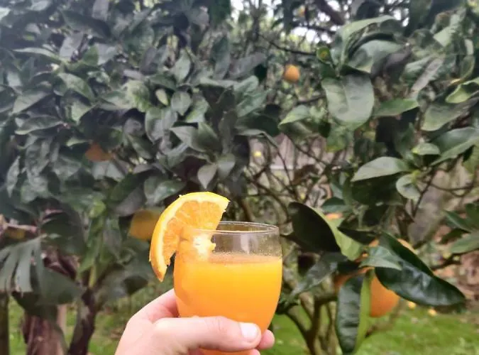 Novovento Auberge de jeunesse