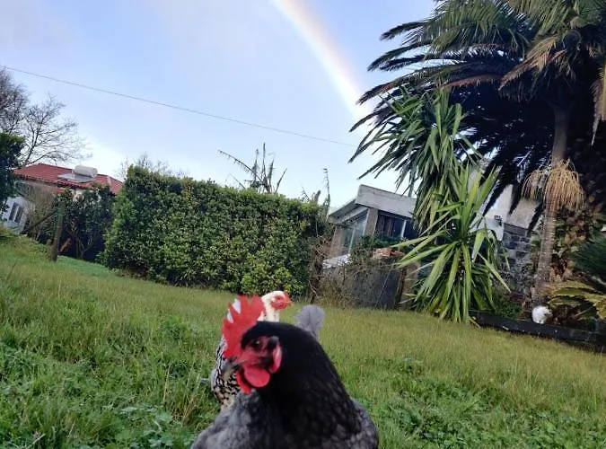 Hostel Novovento Ginetes